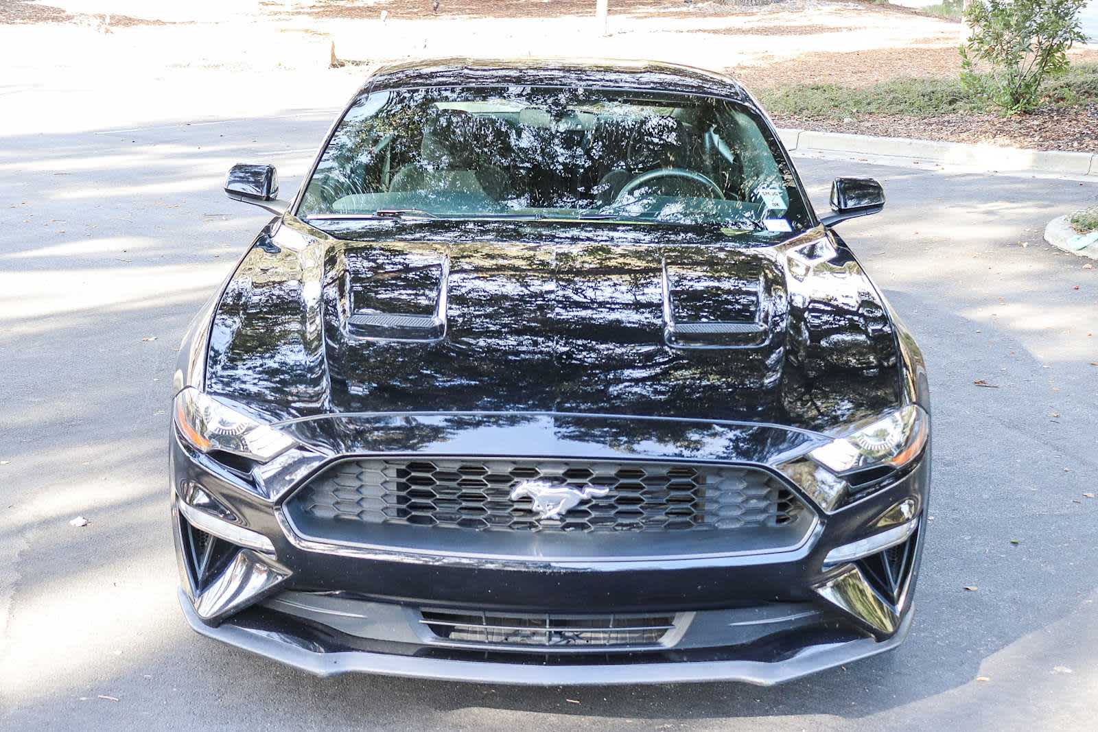 2019 Ford Mustang EcoBoost 2