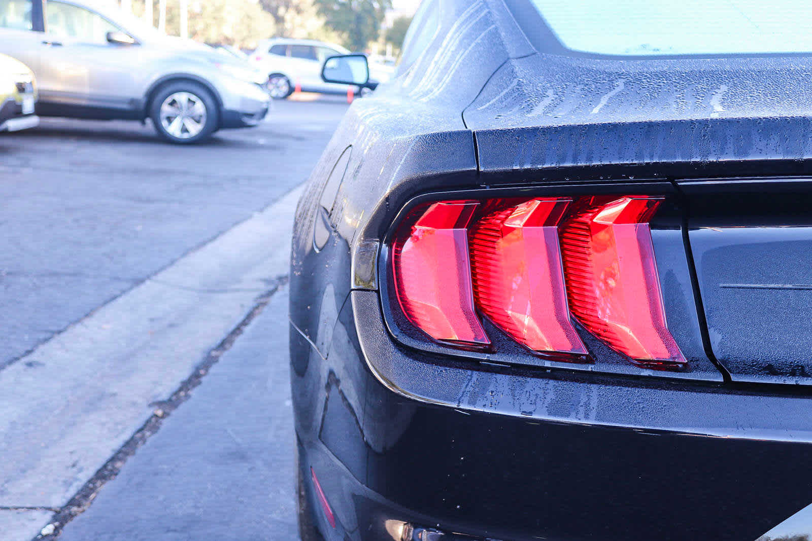 2019 Ford Mustang EcoBoost 14