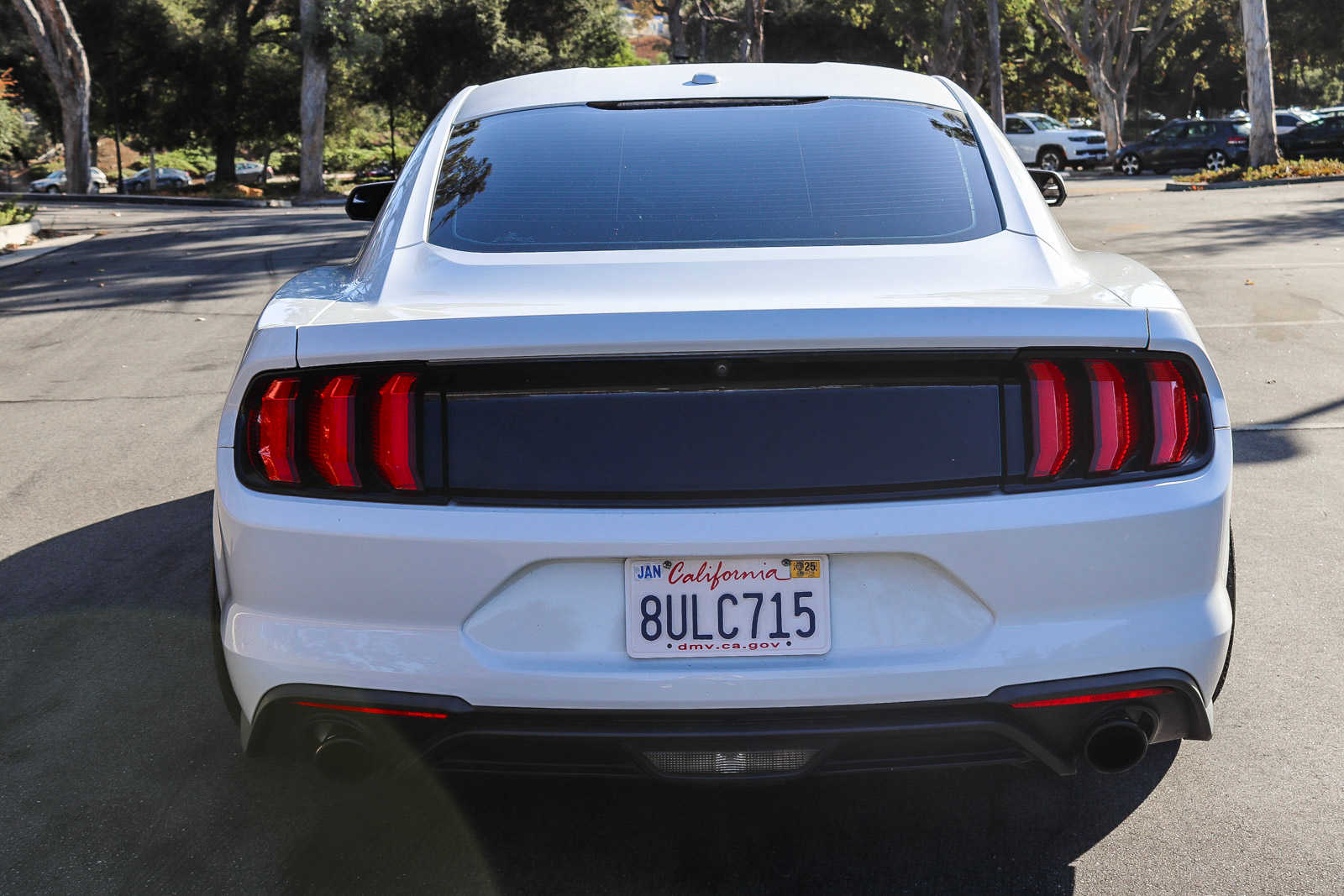 2019 Ford Mustang EcoBoost 5