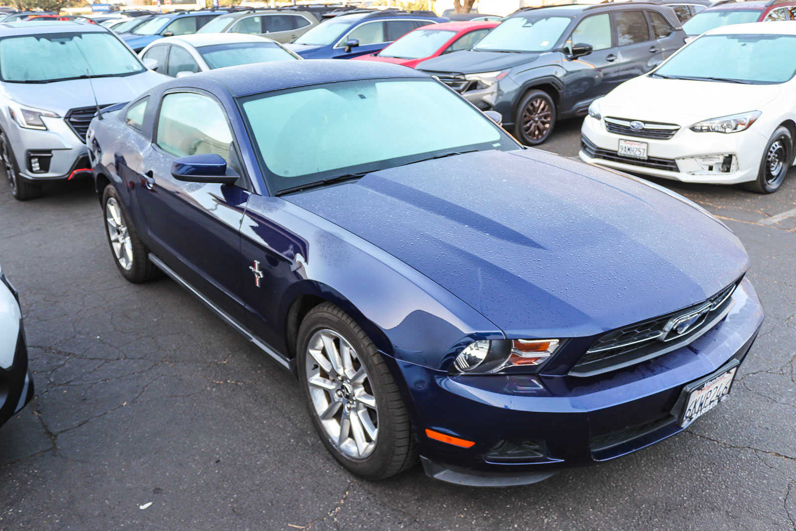 2010 Ford Mustang V6 3