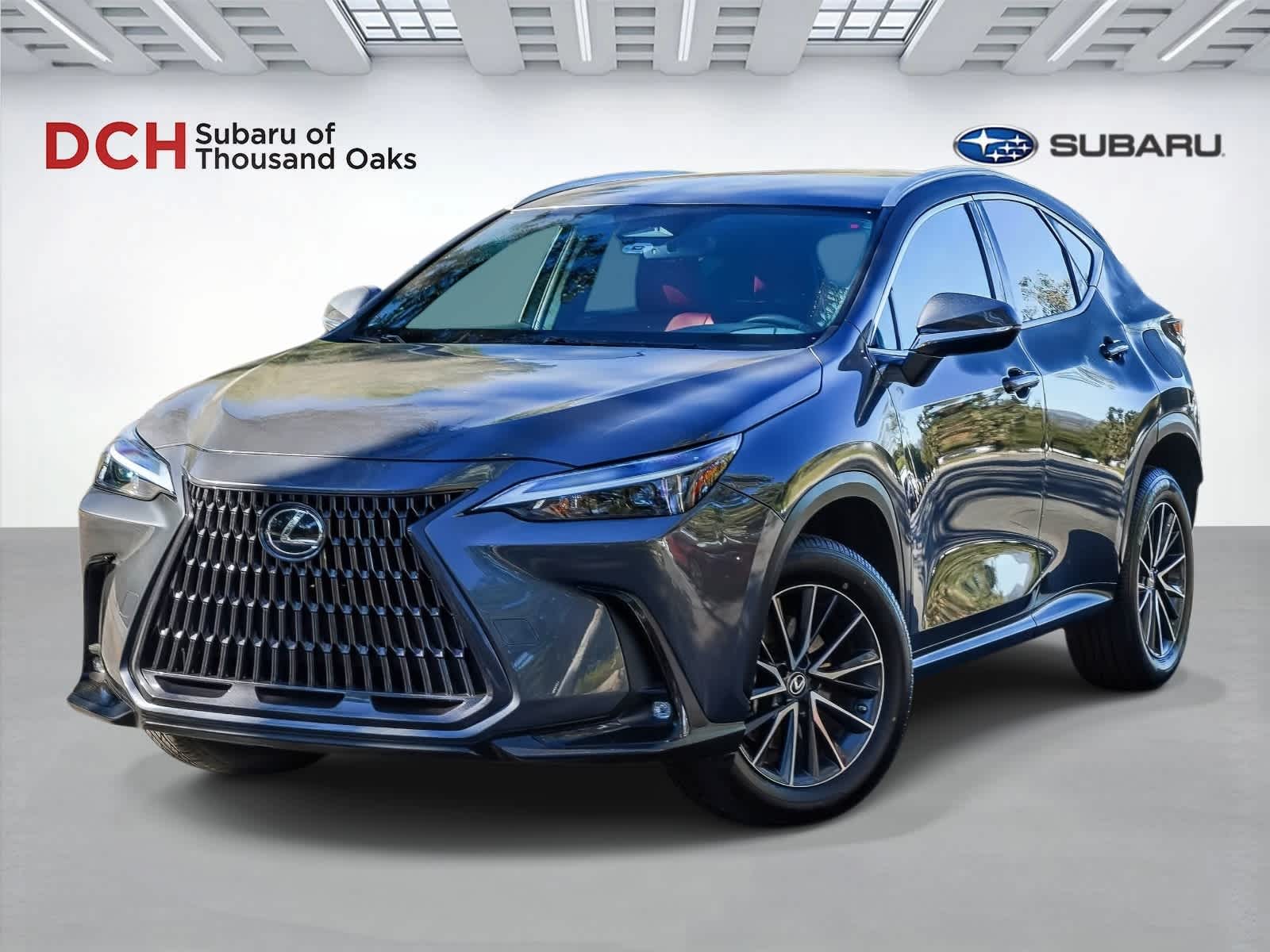 2023 Lexus NX 