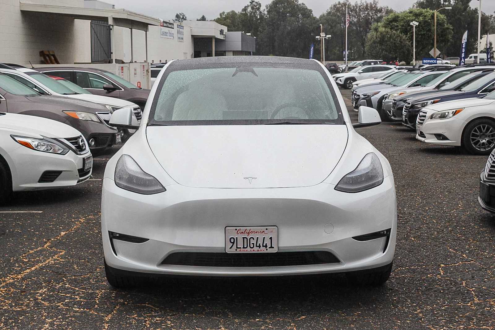 Used 2024 Tesla Model Y Long Range with VIN 7SAYGAEE4RF017748 for sale in Northfield, Minnesota