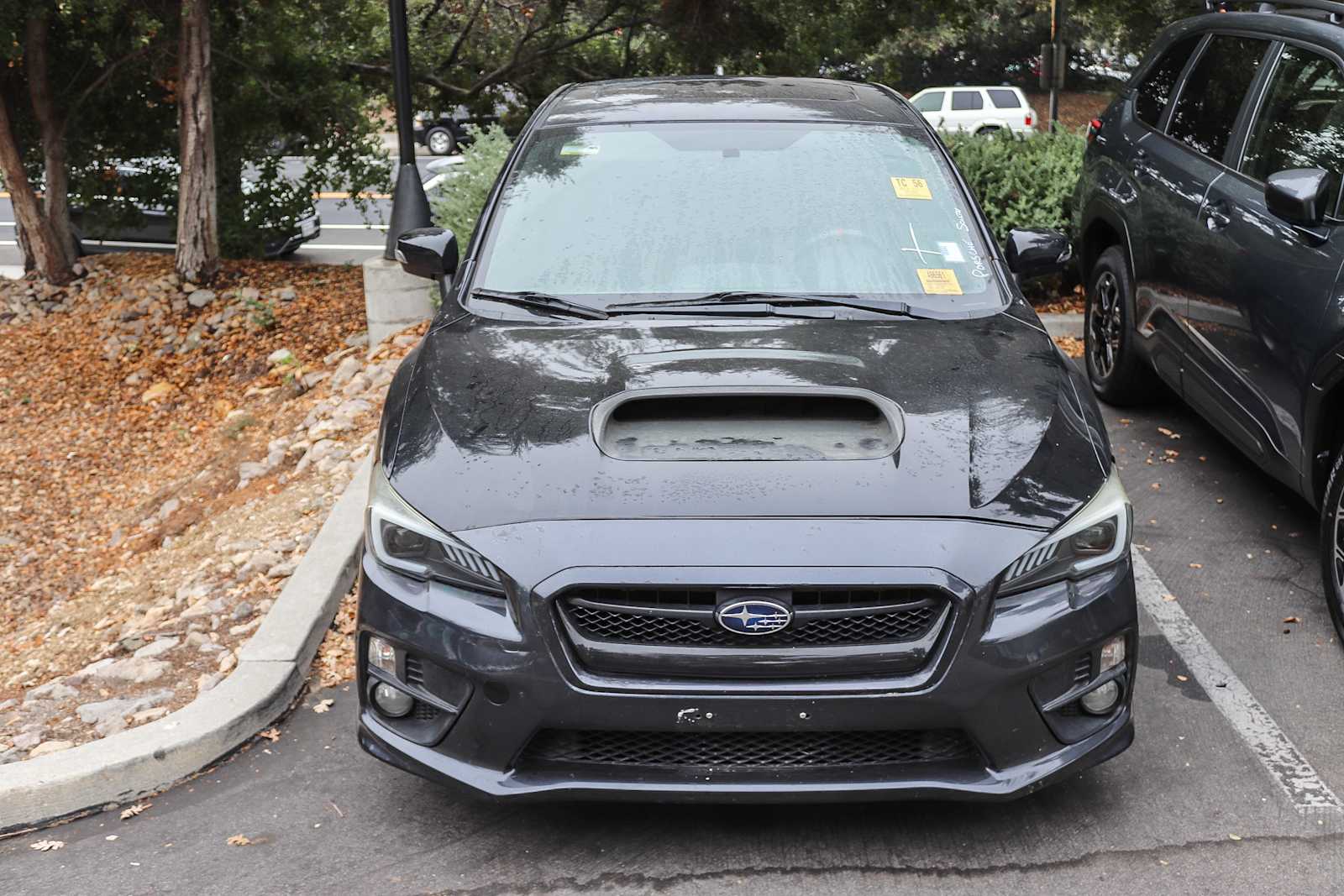 Used 2017 Subaru WRX Limited with VIN JF1VA1L66H9801151 for sale in Thousand Oaks, CA