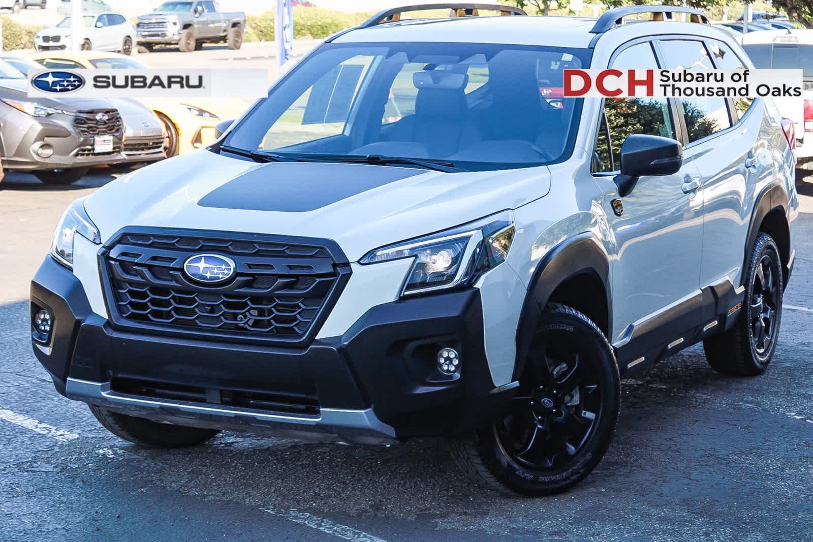 2024 Subaru Forester Wilderness