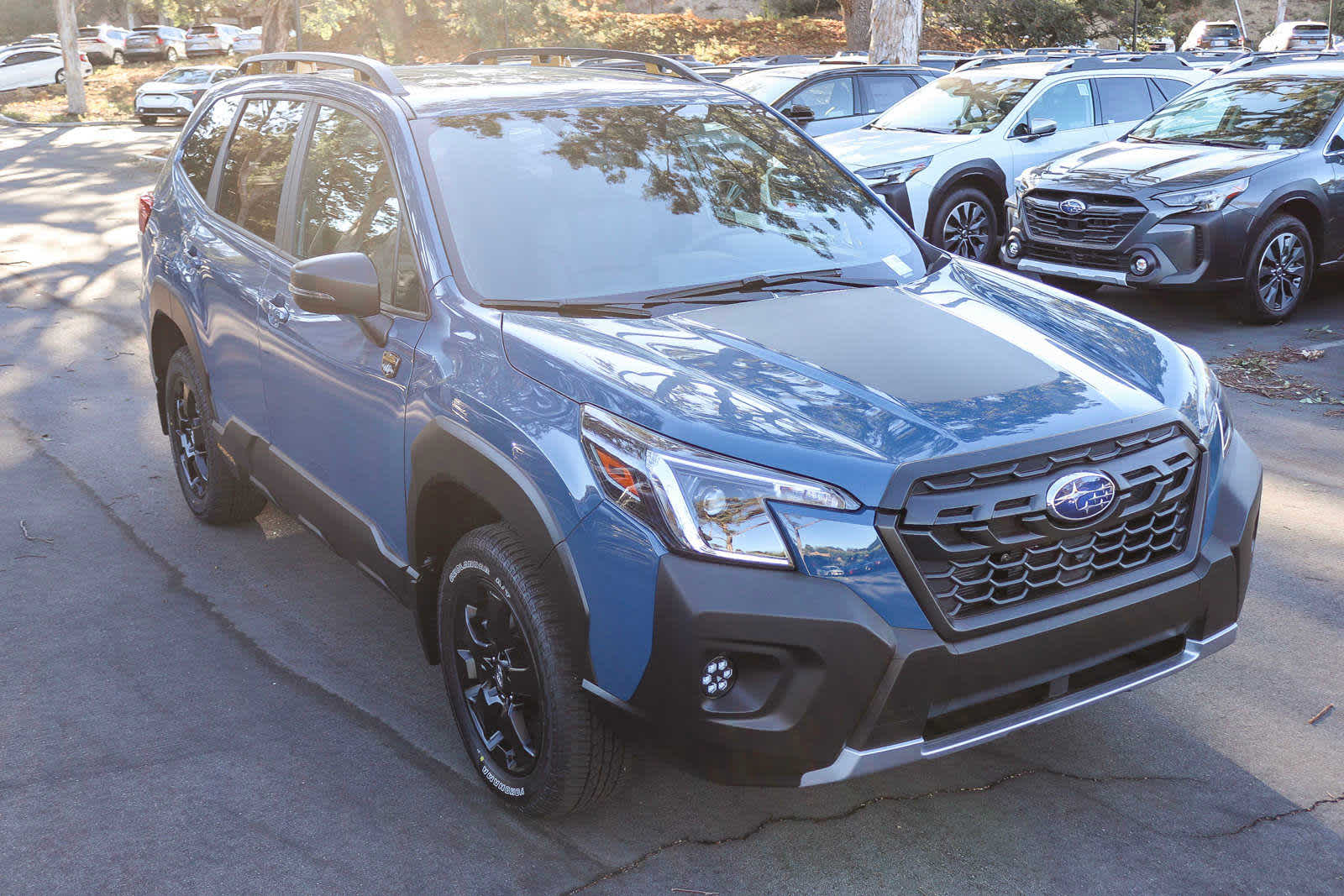 2024 Subaru Forester Wilderness 3