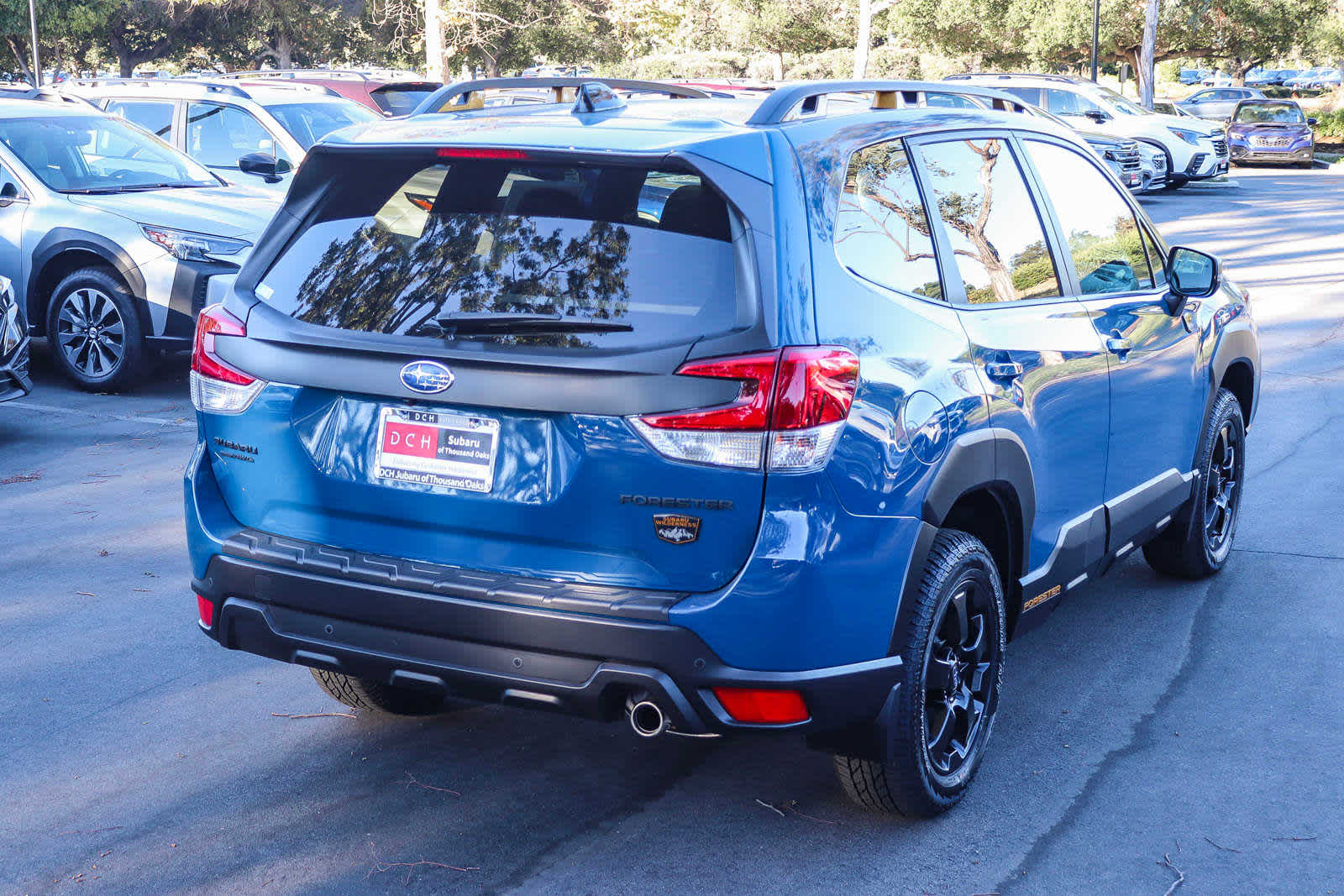 2024 Subaru Forester Wilderness 4