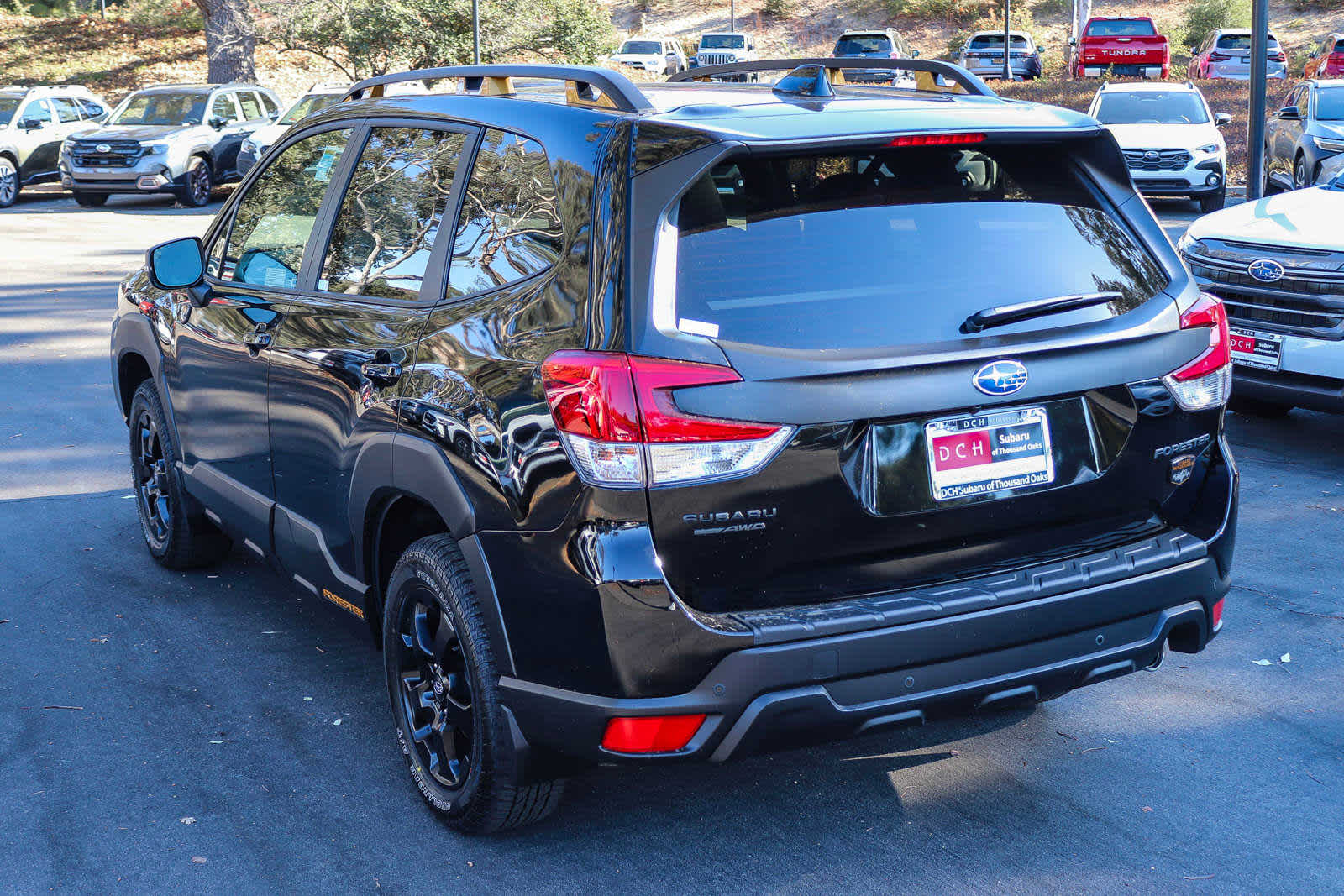 2024 Subaru Forester Wilderness 6