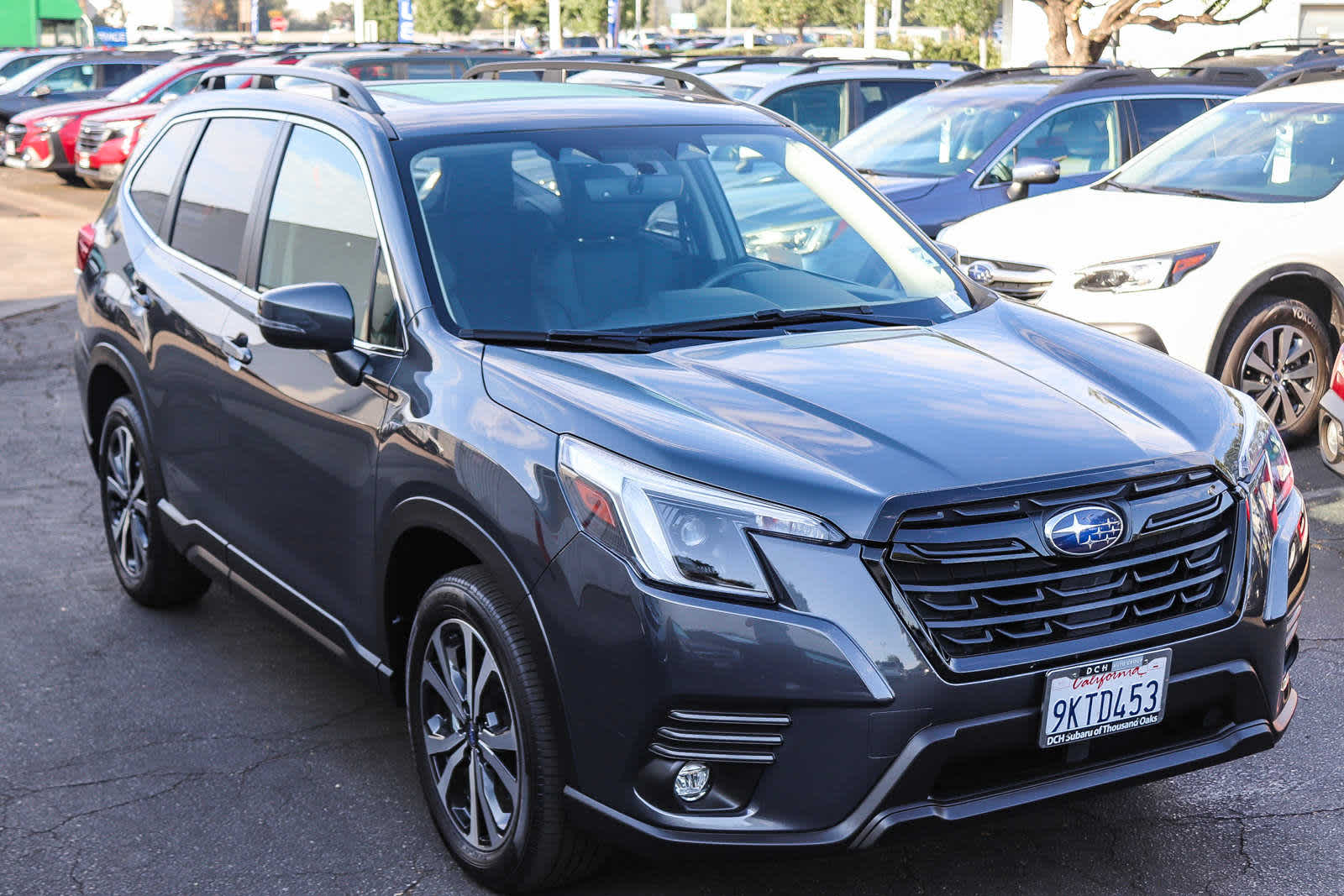 2024 Subaru Forester Limited 3