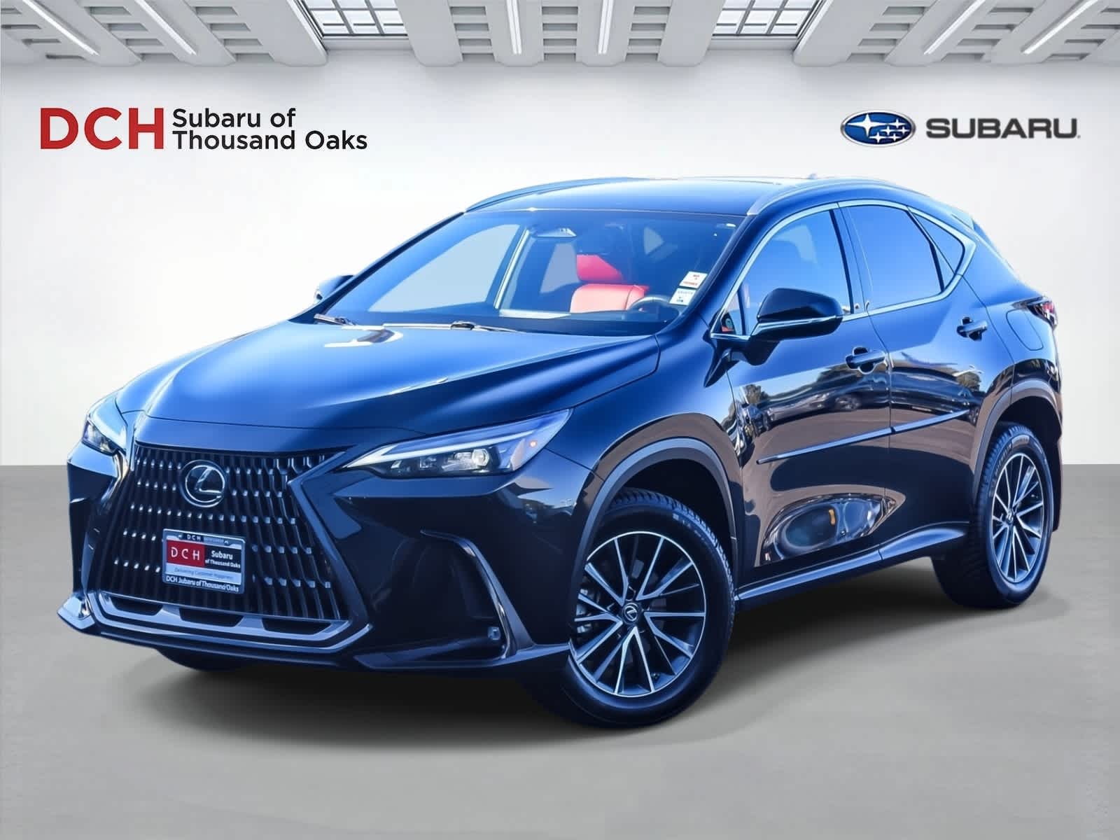 2022 Lexus NX Luxury