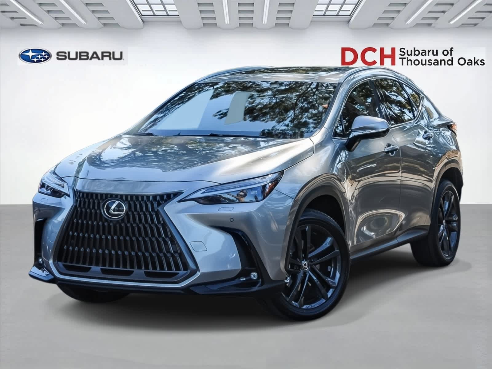 2024 Lexus NX Luxury