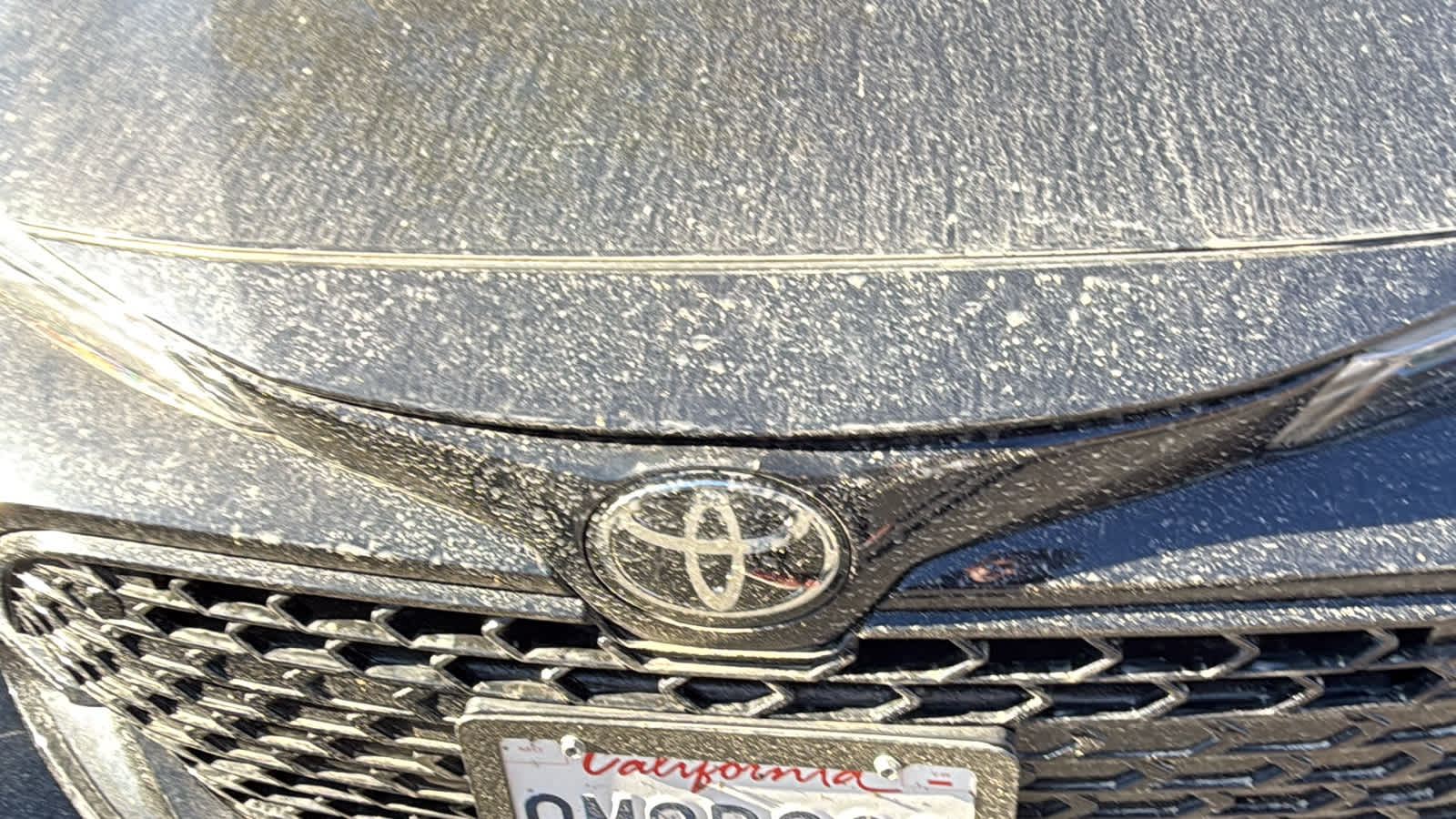 2024 Toyota Corolla SE 5