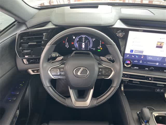 2023 Lexus RX Luxury 14