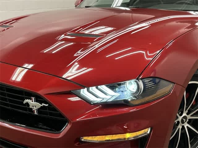 2023 Ford Mustang EcoBoost Premium Rapid Red Metallic Tinted Clearcoat at Mac Haik Ford