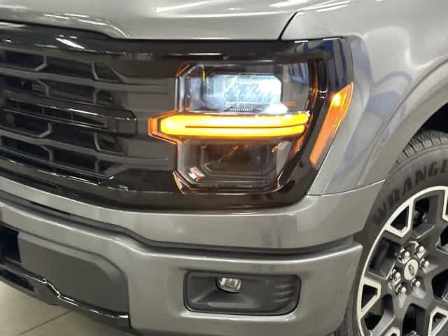 2025 Ford F-150 photo 31 of 32