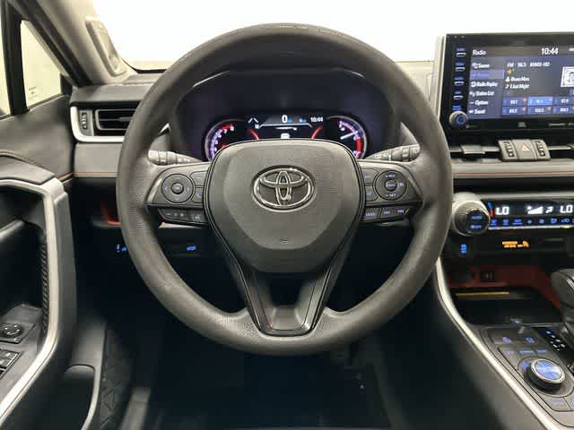 2019 Toyota RAV4 Adventure Lunar Rock/Ice Edge Roof at AutoNation USA Houston