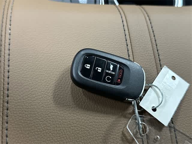 2026 Honda Passport TrailSport Elite Blackout Ash Green Metallic at Honda of Clear Lake