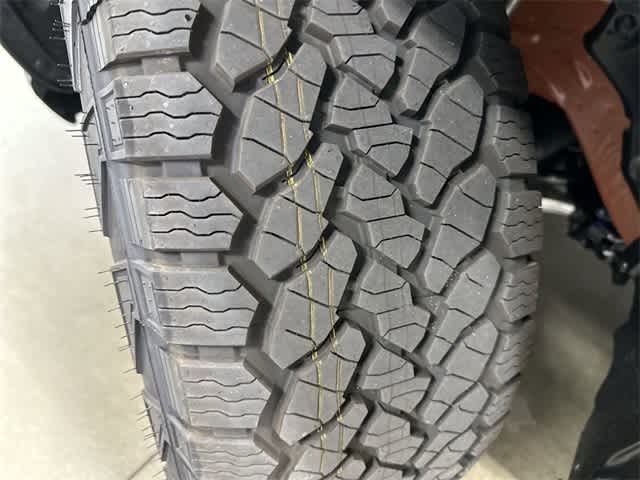 2026 Honda Passport TrailSport Elite Sunset Orange at Honda of Clear Lake