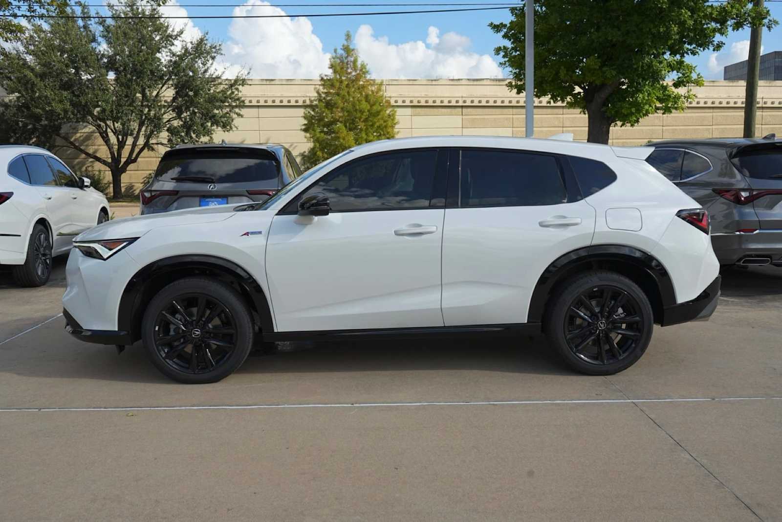 car-gallery-3