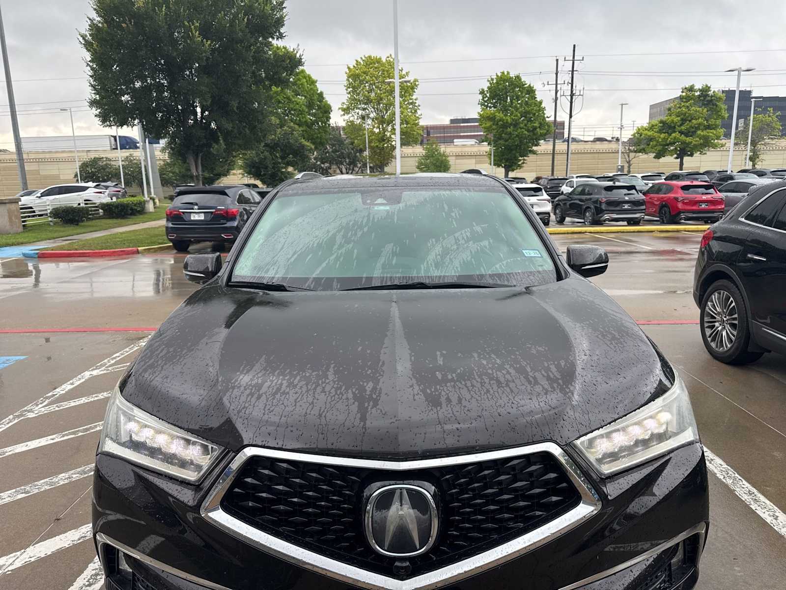 car-gallery-2