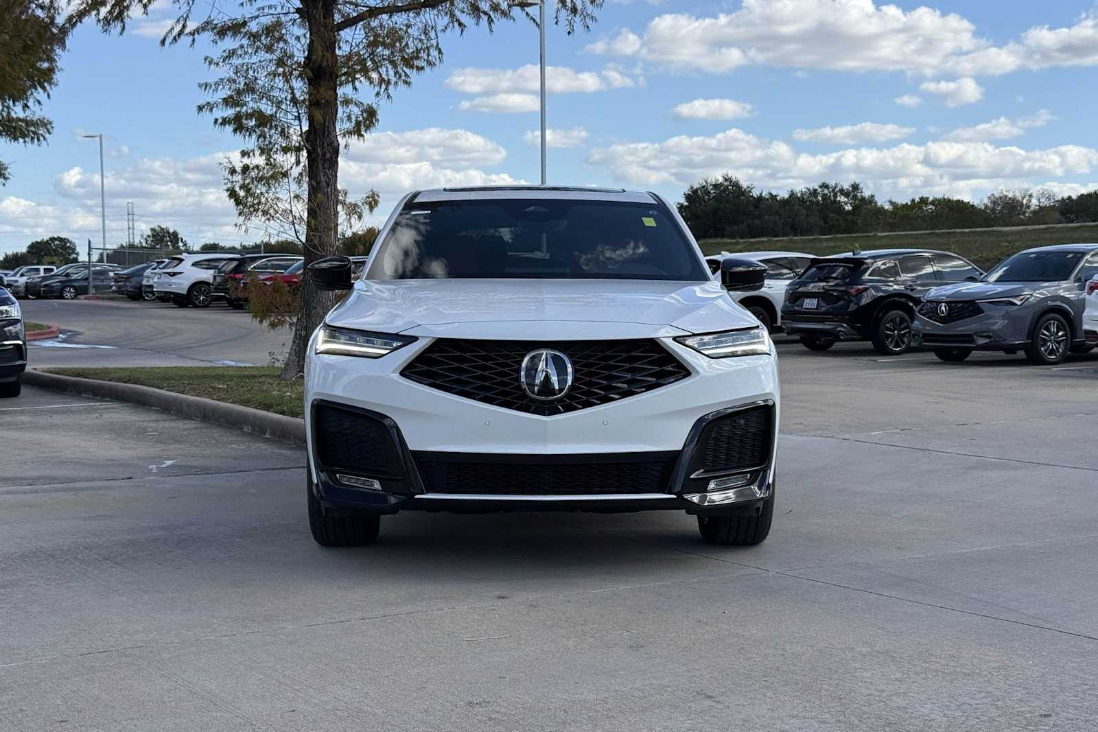 car-gallery-6
