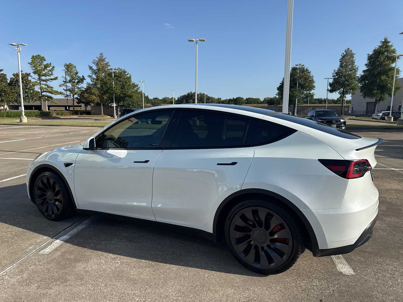 Used 2025 Tesla Model Y Performance with VIN 7SAYGDEF6SA347260 for sale in Northfield, Minnesota