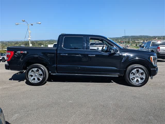 2023 Ford F-150 Platinum 4WD SuperCrew 5.5 Box 7