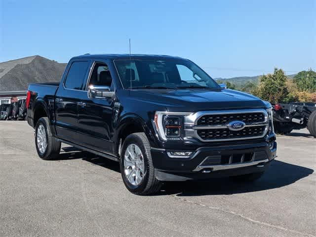 2023 Ford F-150 Platinum 4WD SuperCrew 5.5 Box 8