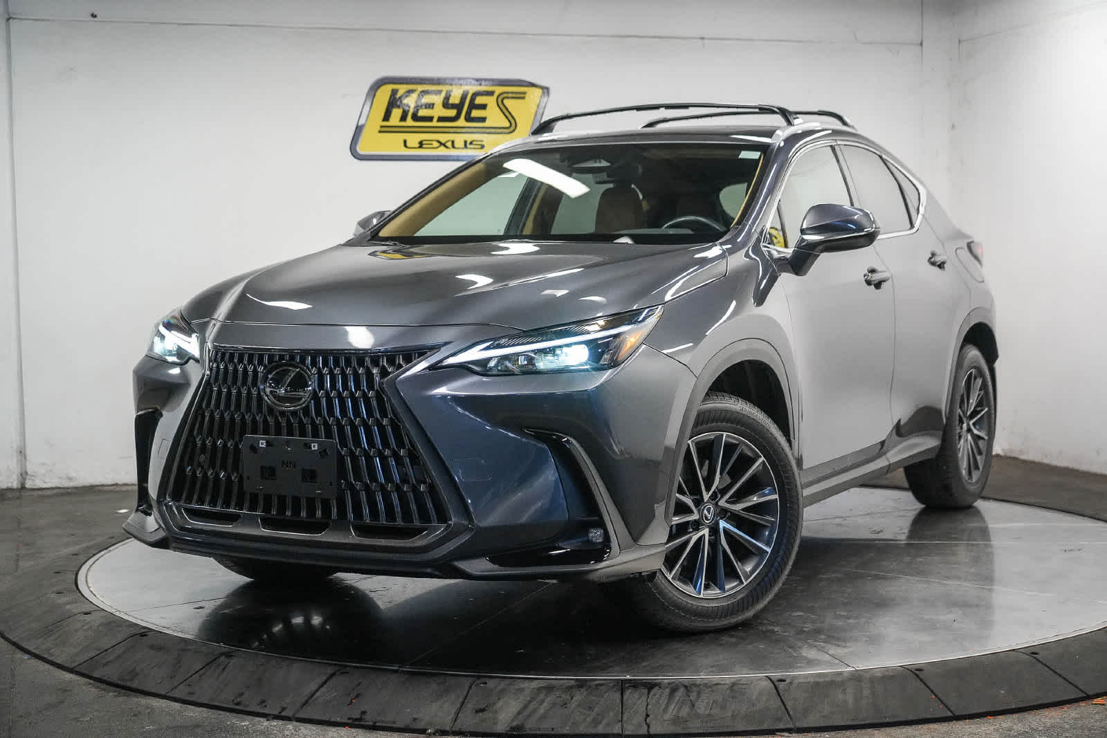 2025 Lexus NX 250