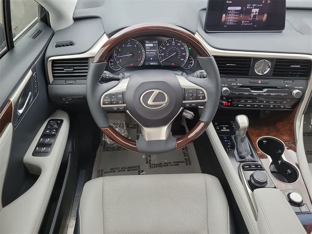 2019 Lexus RX  21