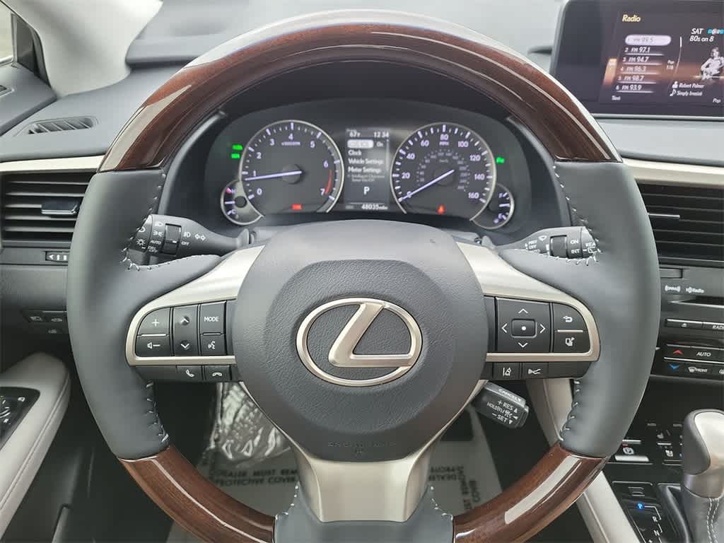 2019 Lexus RX  16