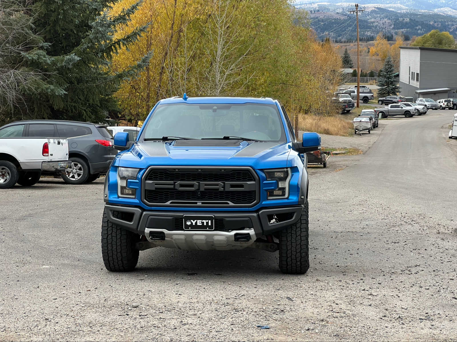 2019 Ford F-150 Raptor 4WD SuperCrew 5.5 Box 3