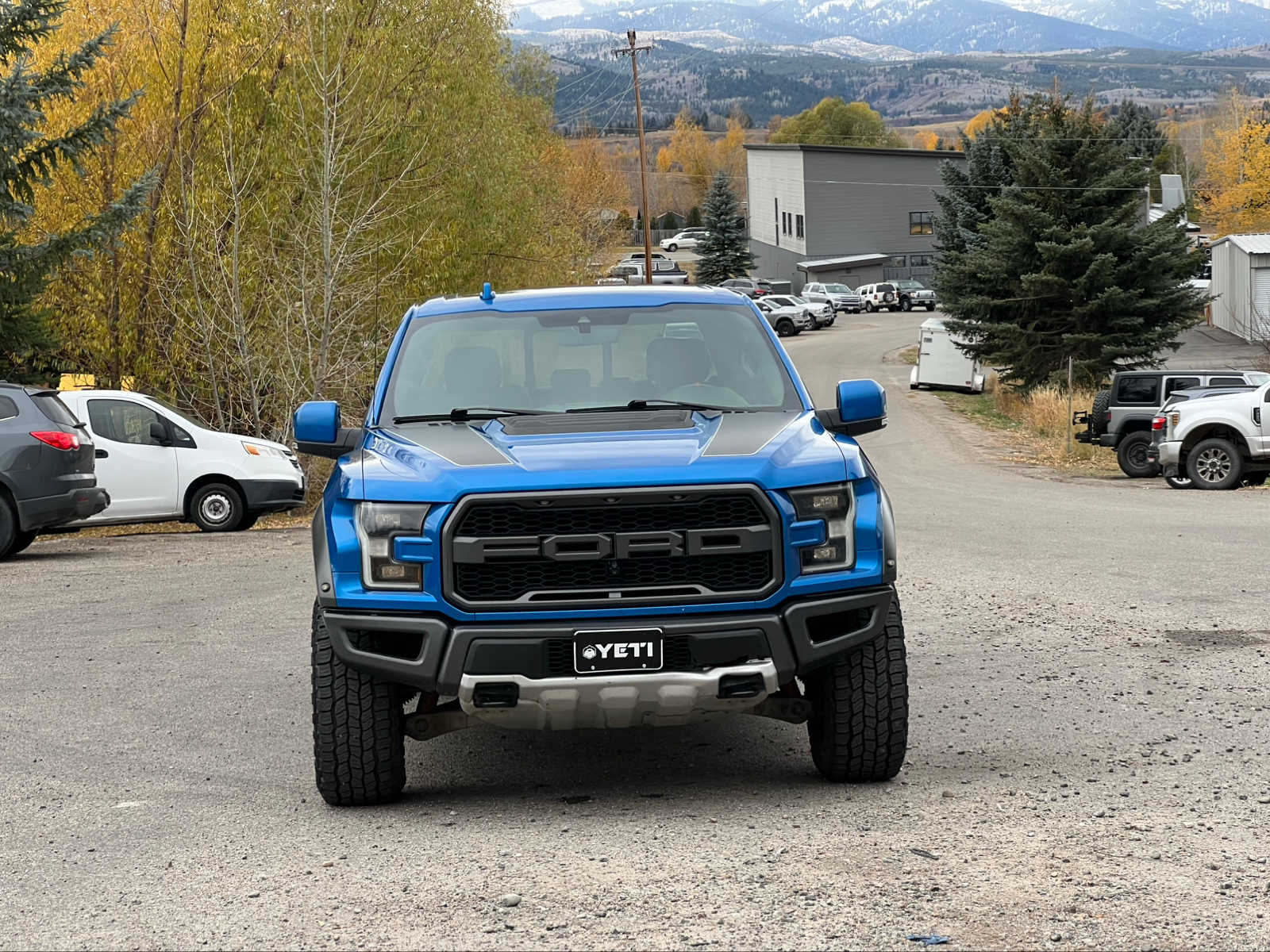 2019 Ford F-150 Raptor 4WD SuperCrew 5.5 Box 4