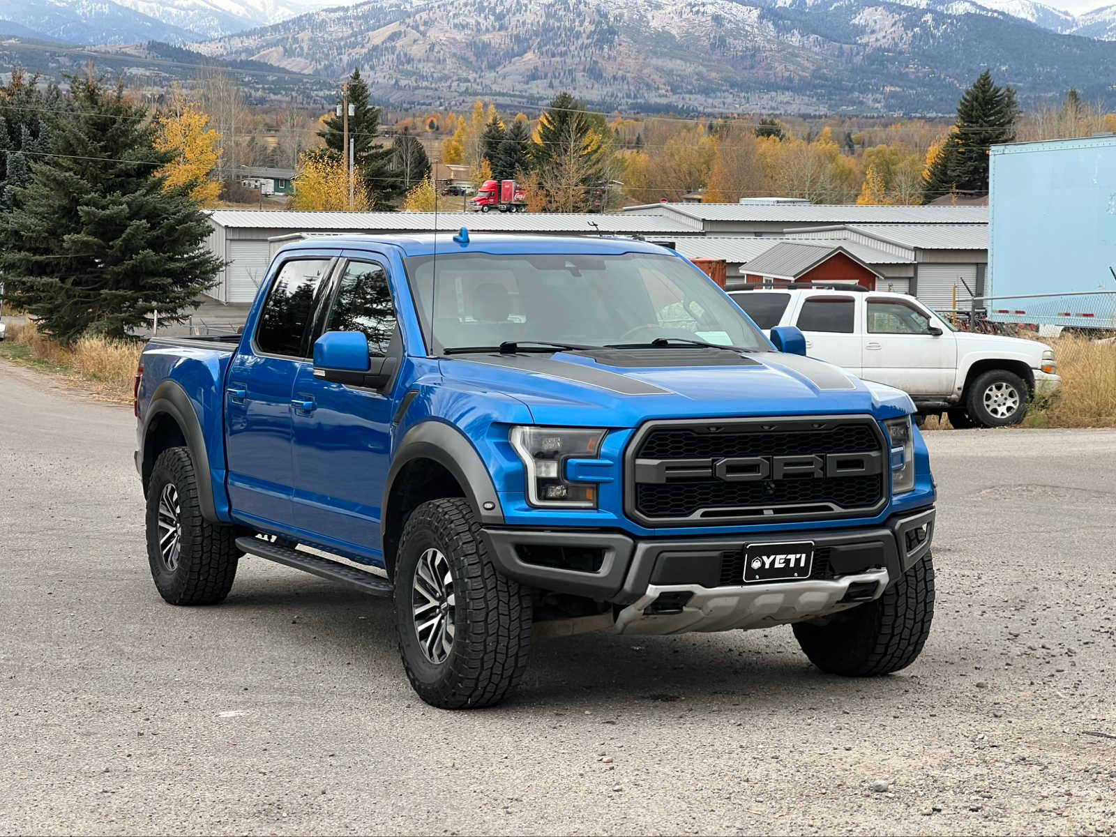 2019 Ford F-150 Raptor 4WD SuperCrew 5.5 Box 5