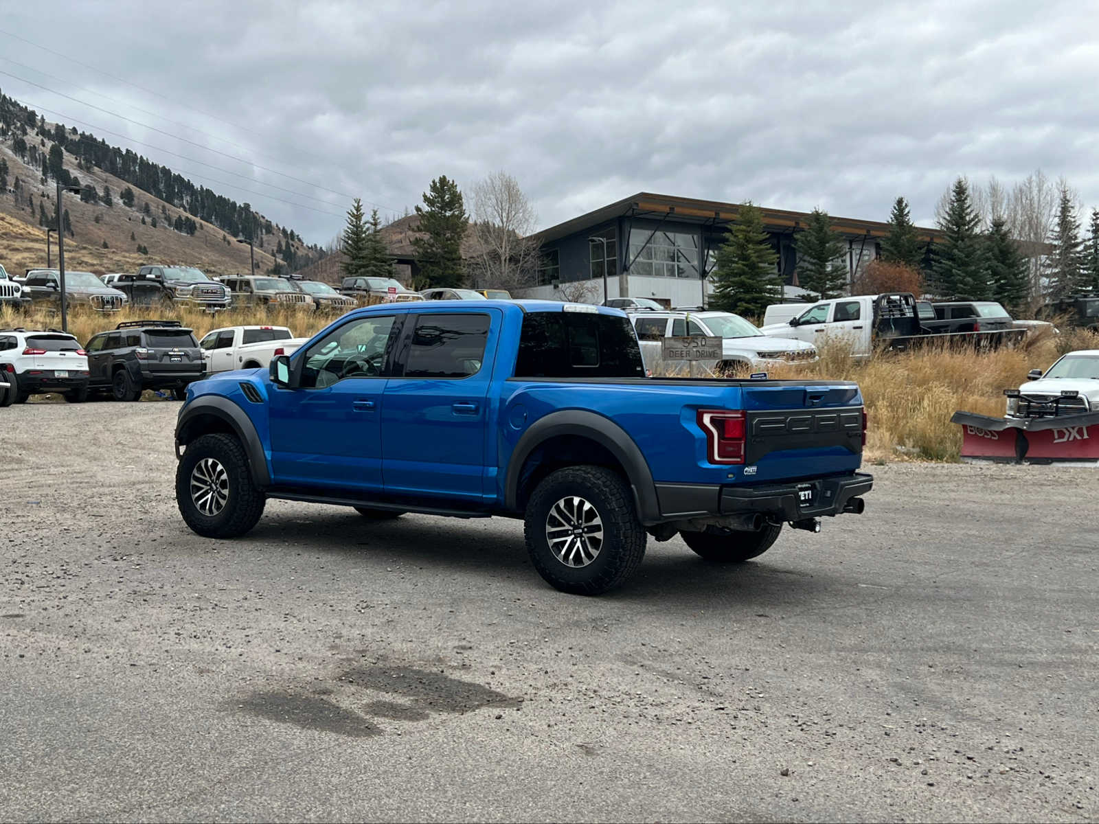 2019 Ford F-150 Raptor 4WD SuperCrew 5.5 Box 13