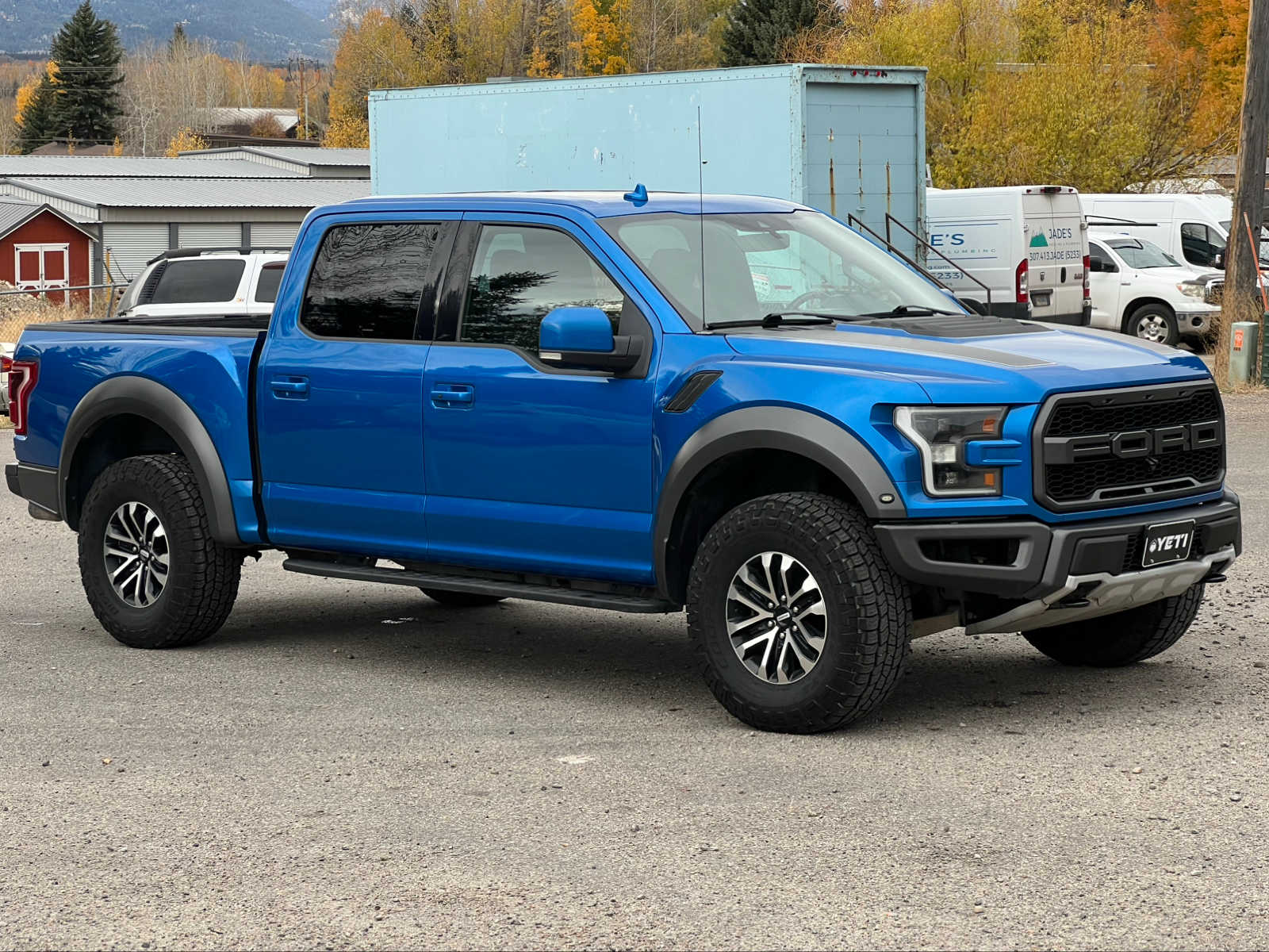 2019 Ford F-150 Raptor 4WD SuperCrew 5.5 Box 6