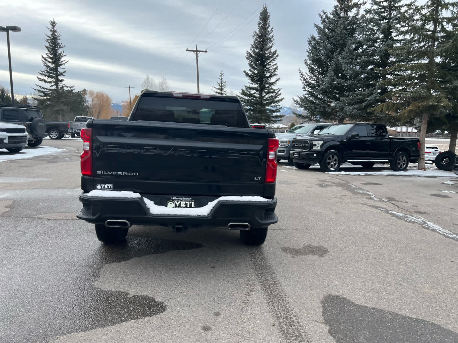 2021 Chevrolet Silverado 1500 LT Trail Boss 4WD Crew Cab 147 11