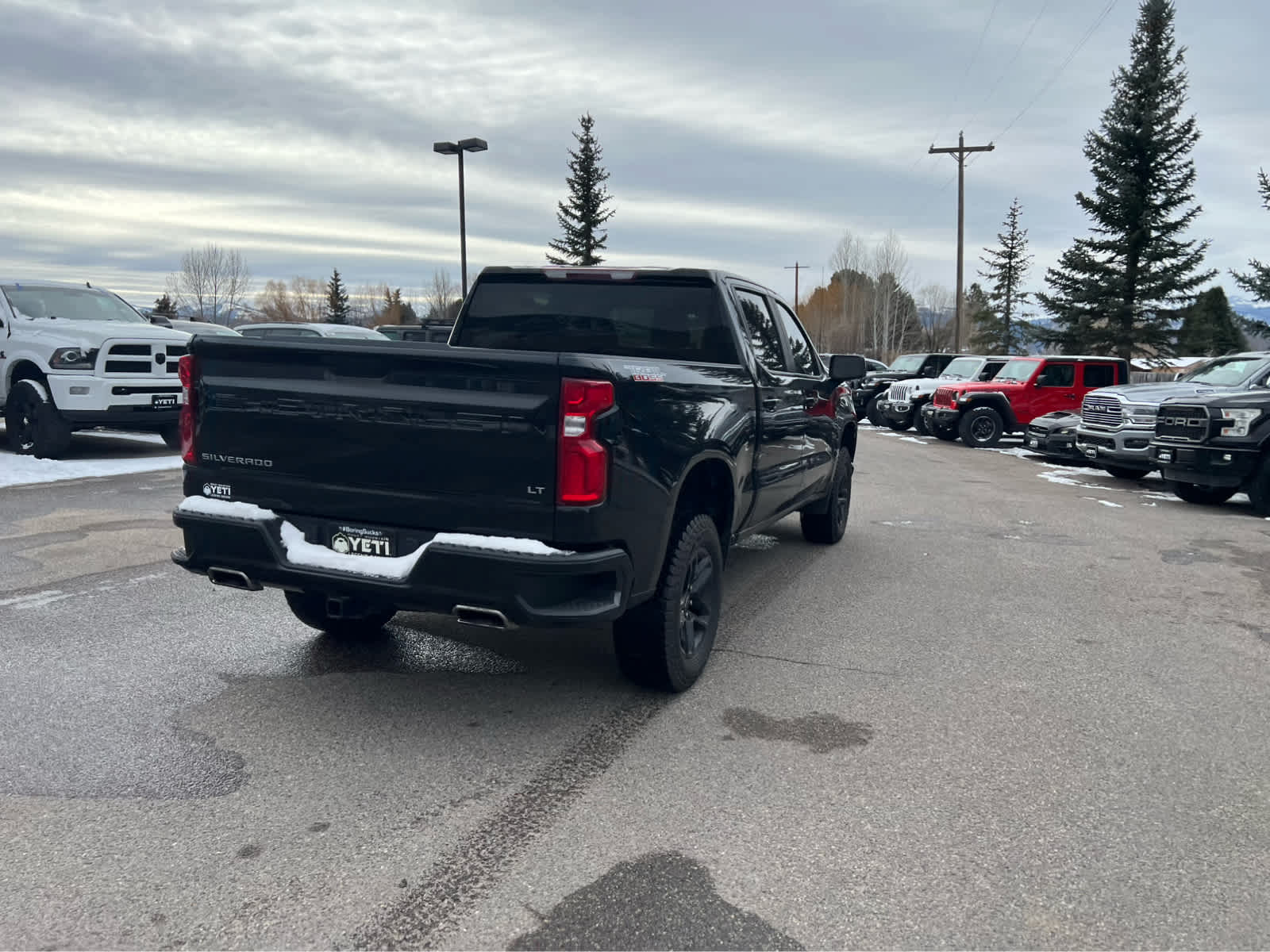 2021 Chevrolet Silverado 1500 LT Trail Boss 4WD Crew Cab 147 10