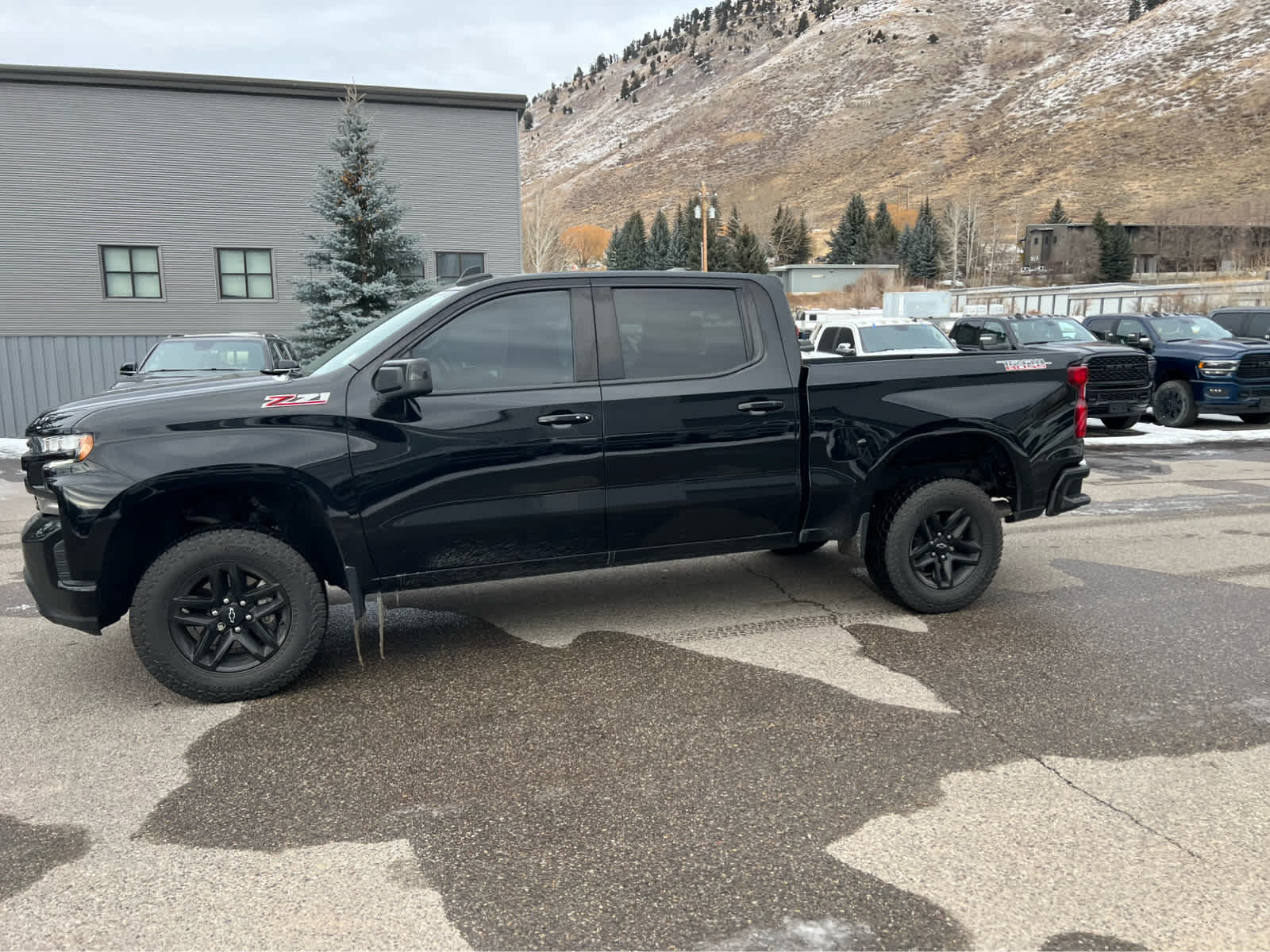 2021 Chevrolet Silverado 1500 LT Trail Boss 4WD Crew Cab 147 16