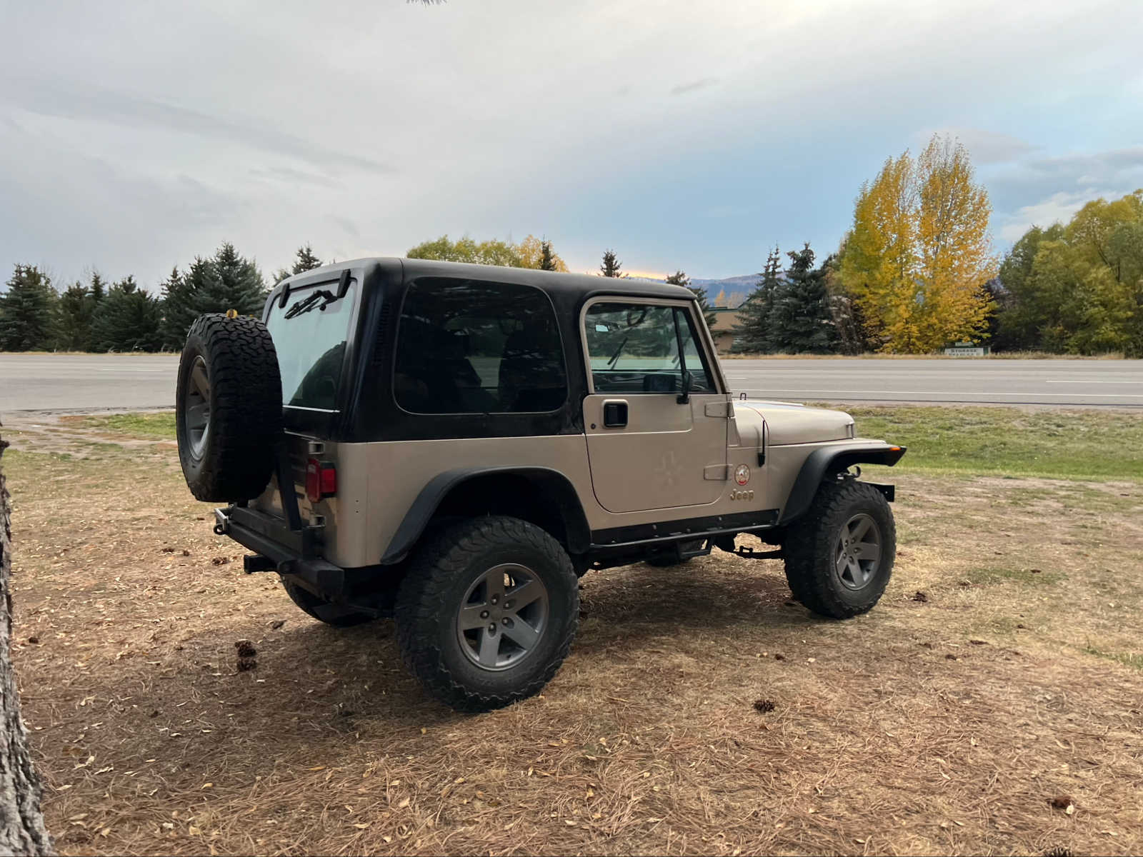 1993 Jeep Wrangler Sahara 2dr 10