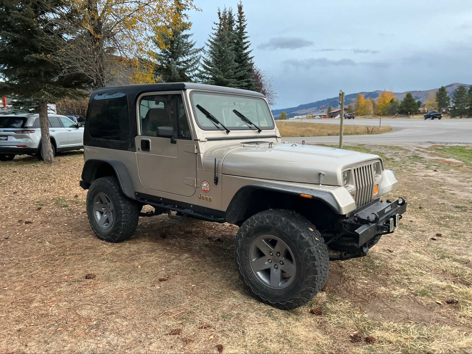 1993 Jeep Wrangler Sahara 2dr 6