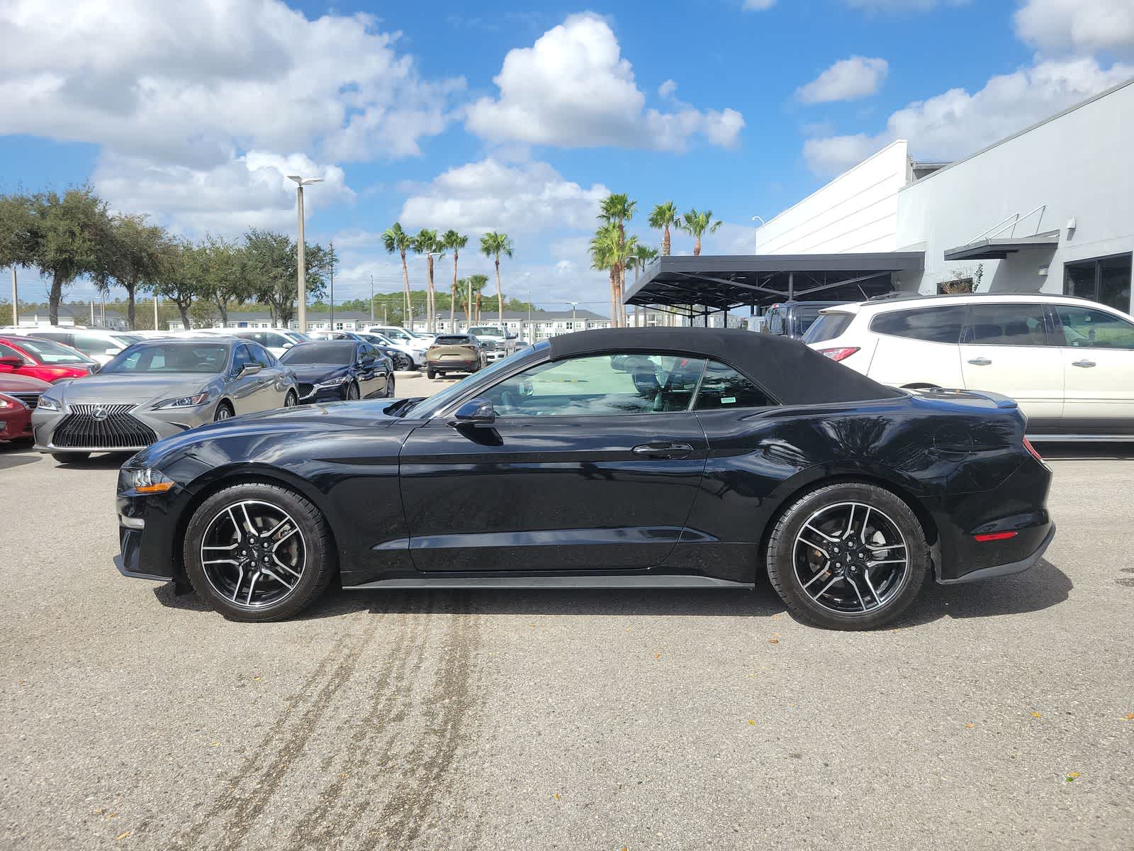 Used 2021 Ford Mustang EcoBoost Premium with VIN 1FATP8UH3M5115987 for sale in Wesley Chapel, FL