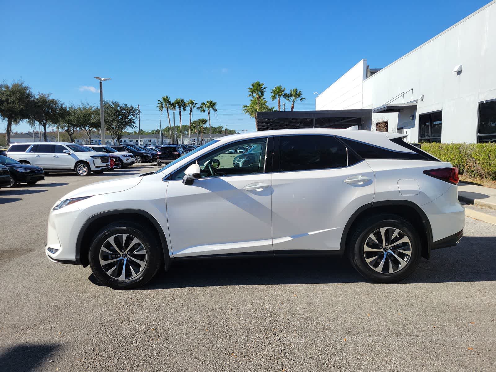 Used 2022 Lexus RX 350 with VIN 2T2AZMAA3NC240516 for sale in Wesley Chapel, FL