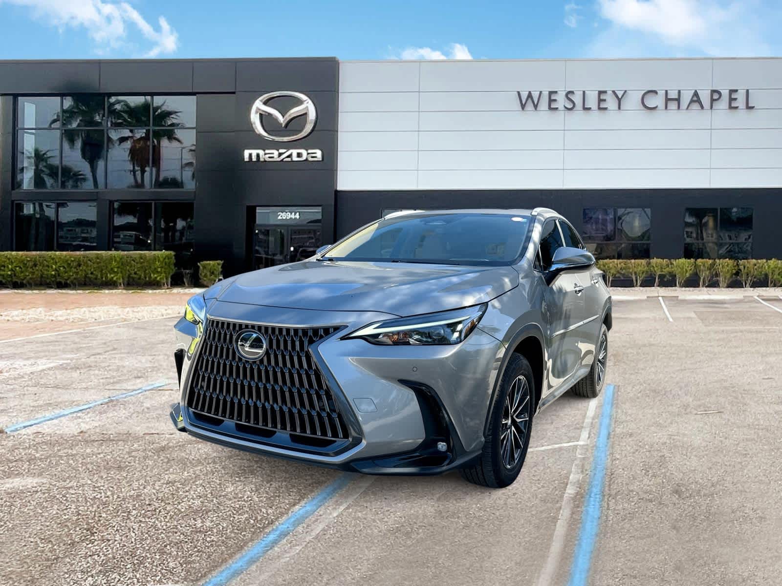 2025 Lexus NX 250 Premium