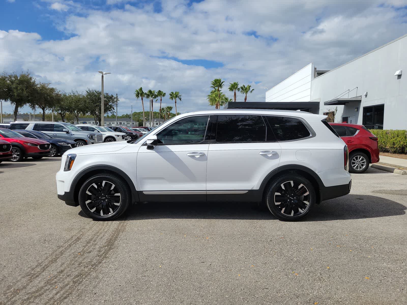 Used 2024 Kia Telluride SX Prestige with VIN 5XYP5DGC8RG442636 for sale in Wesley Chapel, FL