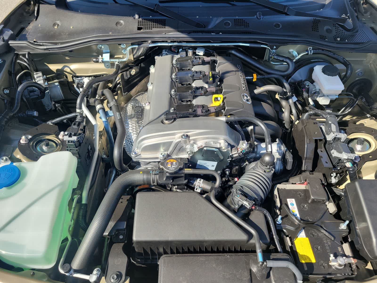 Show image popup
