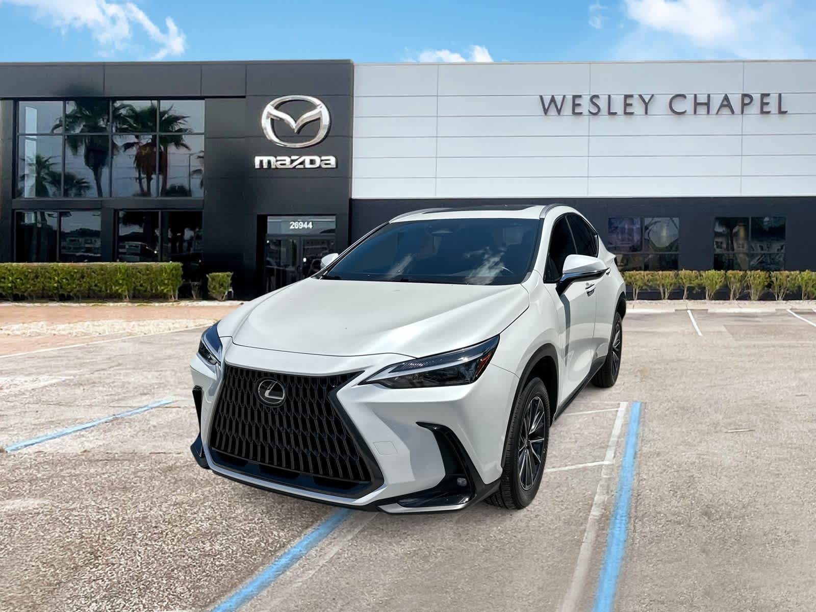2024 Lexus NX 350 