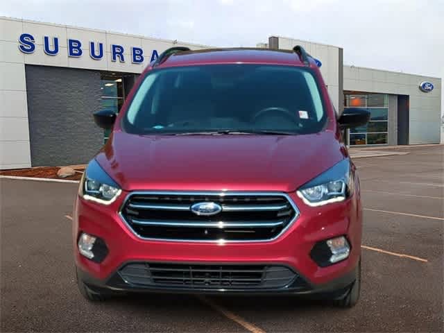 2019 Ford Escape SE 3