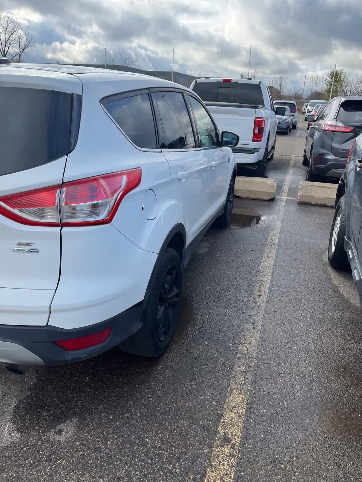 2015 Ford Escape SE 6