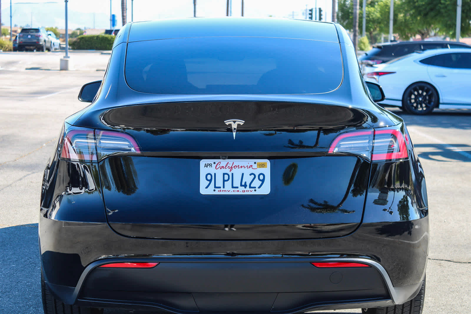 2024 Tesla Model Y  7