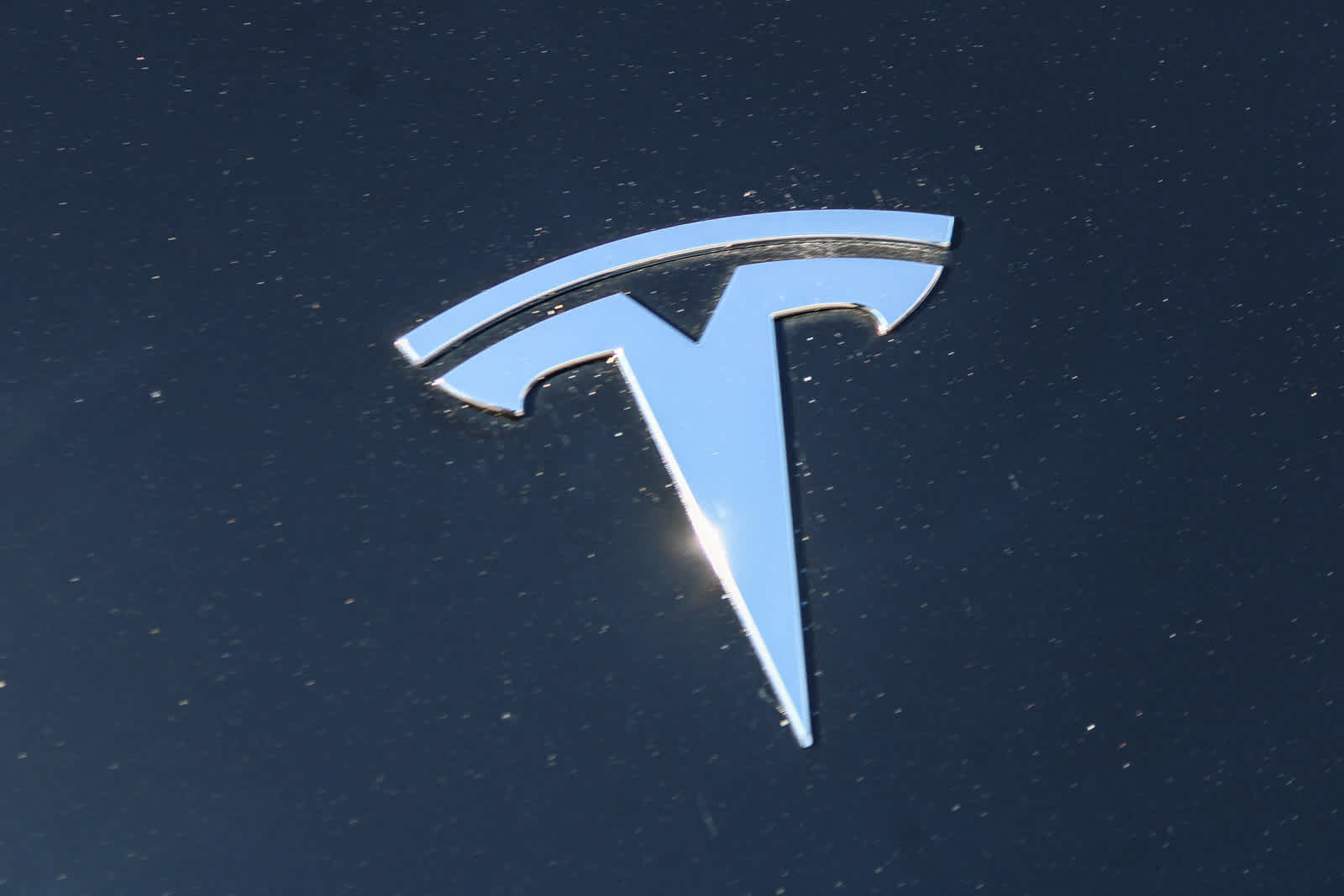 2024 Tesla Model Y  5